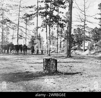 Quartiers généraux du général Birney, 2e division, 10e corps, soldats avec chevaux., photographié entre 1861 et 1864, imprimé plus tard, Birney, David Bell, 1825-1864, Home & Haunts, tirages photographiques, 1860-1910., tirages photographiques, 1860-1910, 1 tirage photographique Banque D'Images