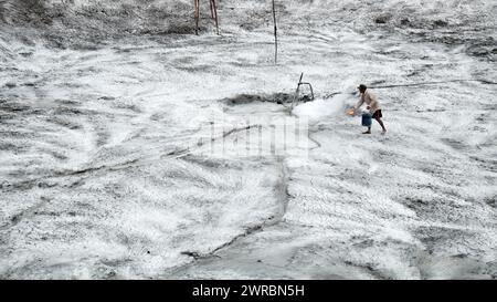 Travailleur appliquer du calcaire agricole pour néautraliser l'acidité du sol, ajustant le ph pour la ferme prête, poudre blanche étalée sur la surface de la terre au Vietnam Banque D'Images