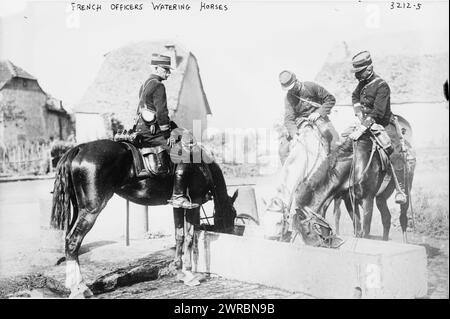 Officiers français arrosant les chevaux, photographie montre des officiers français et des chevaux pendant la première Guerre mondiale, entre CA. 1914 et env. 1915, Guerre mondiale, 1914-1918, négatifs en verre, 1 négatif : verre Banque D'Images