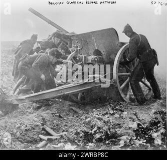 Gunners belges avant Anvers, photographie montre des soldats belges avec de gros canons de campagne, pendant le siège d'Anvers par l'armée allemande pendant la première Guerre mondiale, 1914, Guerre mondiale, 1914-1918, négatifs en verre, 1 négatif : verre Banque D'Images