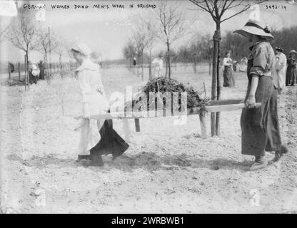 Femmes allemandes faisant le travail des hommes dans un verger, la photographie montre des femmes allemandes travaillant dans un verger, probablement pendant la première Guerre mondiale, entre env. 1914 et env. 1915, Guerre mondiale, 1914-1918, négatifs en verre, 1 négatif : verre Banque D'Images