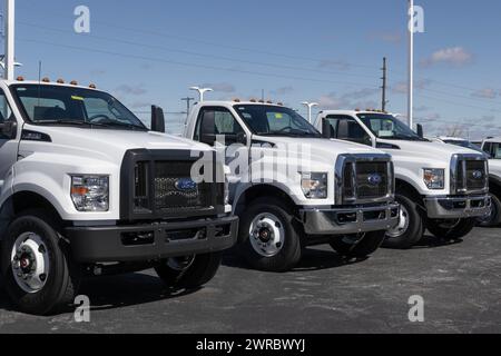 Plainfield - 10 mars 2024 : Ford F-650 SD Gas Straight Frame Display. Ford offre le moteur à essence F650 avec la possibilité de convertir au propane. MY:2025 Banque D'Images