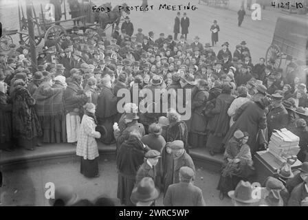Réunion de protestation contre la nourriture East Broadway et Rutgers Street, New York, New York, photo montre une manifestation dirigée par Ida Harris, présidente du Mother's vigilance Committee, et l'anarchiste Marie Ganz, toutes deux membres de la Mothers' anti-High Price League, 1917 février 20, négatifs en verre, 1 négatif : verre Banque D'Images