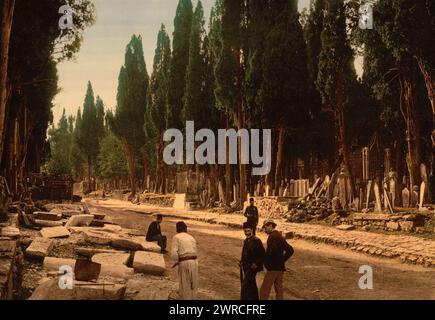 Cyprès et route menant au cimetière, Scutari, Constantinople, Turquie, entre CA. 1890 et env. 1900., Turquie, Istanbul, couleur, 1890-1900 Banque D'Images