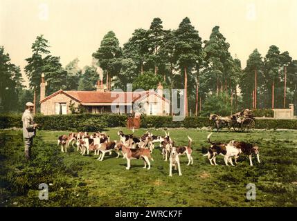 Royal Staff College, Drag Hounds, Camberley, Angleterre, entre CA. 1890 et env. 1900., Angleterre, Camberley, couleur, 1890-1900 Banque D'Images