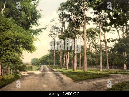 Royal Military College, une route préférée, Sandhurst, Camberley, Angleterre, entre env. 1890 et env. 1900., Angleterre, Camberley, couleur, 1890-1900 Banque D'Images