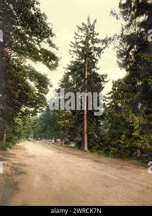 Royal Military College, une route préférée, Sandhurst, Camberley, Angleterre, entre env. 1890 et env. 1900., Angleterre, Camberley, couleur, 1890-1900 Banque D'Images