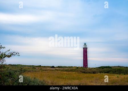 L'image représente un majestueux phare debout au milieu d'une landes côtières tentaculaires. Les couleurs rouges et blanches frappantes du phare créent un point focal contre les tons discrets du paysage environnant. Le ciel, une douce étendue de bleu avec des nuages sinueux, fournit une toile de fond tranquille pour la scène. La végétation naturelle, caractérisée par des arbustes de basse altitude et des herbes sauvages, suggère un écosystème accidenté mais délicat. Le phare apparaît comme une sentinelle, un symbole de guidage et de sécurité pour les marins, sa présence est une constante dans un environnement en constante évolution. Phare Vigil sur la chaleur côtière Banque D'Images