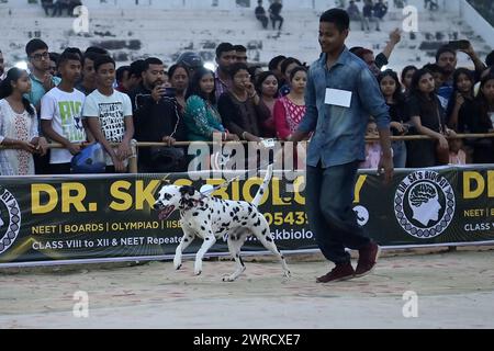 Les chiens exécutent des formateurs pendant le Carnaval des chiens Agartala-2024, organisé par Tripura Veterinary Doctors Association & Pawsome (Une organisation sociale) à Agartala. Tripura, Inde. Banque D'Images