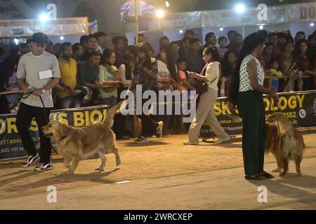 Les chiens exécutent des formateurs pendant le Carnaval des chiens Agartala-2024, organisé par Tripura Veterinary Doctors Association & Pawsome (Une organisation sociale) à Agartala. Tripura, Inde. Banque D'Images