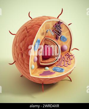 Structure cellulaire animale isolée sur fond vert. Illustration 3D. Banque D'Images