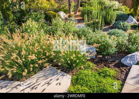 Arrière-cour avec aménagement paysager fantastique, patio, plantes résistantes à la sécheresse Banque D'Images