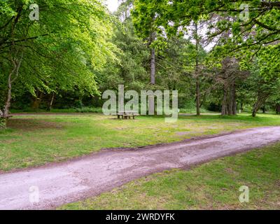Sentier et table de pique-nique à Ardentinny dans le parc forestier d'Argyll, en Écosse Banque D'Images