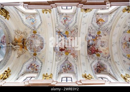 Détail de l'Université Jagellonienne où Nicolaus Copernic a étudié à Cracovie, en Pologne Banque D'Images