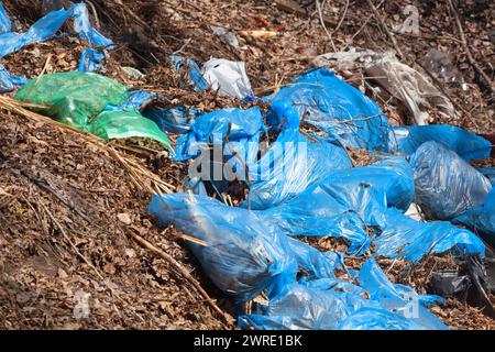 Sacs poubelle complets déchirés bleus avec des feuilles sèches et d'autres ordures se trouvent ensemble dans la rue, à l'extérieur. enlèvement, tri et recyclage des ordures. Banque D'Images