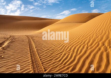 Paysage d'Erg Admer dans le désert du Sahara, Algérie. Une vue sur les dunes et les ondulations creusées par le vent dans le sable. Les traces d'une jeep 4x4 s'enfoncent Banque D'Images