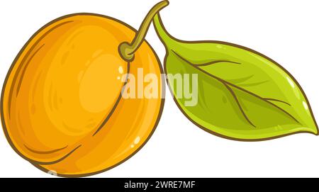 Fruit d'abricot avec feuilles illustration colorée. Illustration de Vecteur
