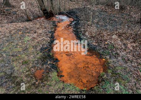 Hydroxyde de fer dans l'eau, Big mine Run Geyser, Ashland Pennsylvanie États-Unis Banque D'Images