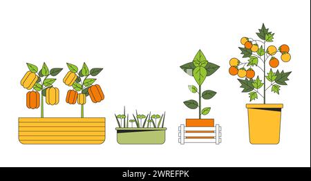 Légumes plantes en pots 2D linéaire objets de bande dessinée ensemble Illustration de Vecteur