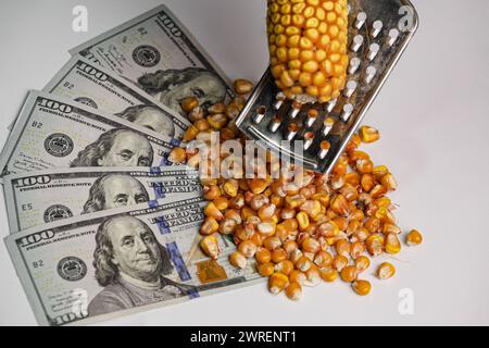 Une image qui montre qu'il y aura une très grande crise du maïs, et il est montré comment le maïs est râpé avec une râpe afin d'économiser sur elle. Banque D'Images