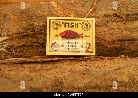 Boîte d'allumettes de sécurité tchèques, poisson, entreprise Solo Brand Works Banque D'Images