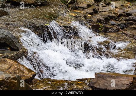 Petite cascade avec un petit lac près de Bhimtal. Vue paysage d'une petite cascade dans les montagnes. cascade cristalline. Banque D'Images