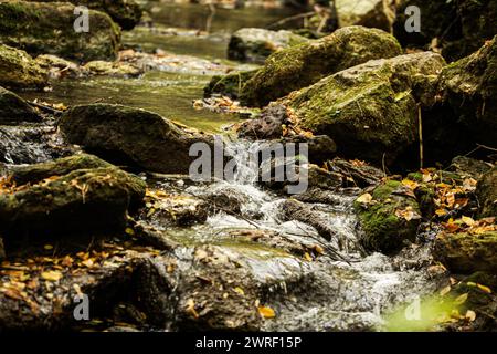 beau paysage avec une petite cascade dans une forêt avec sol en pierre dans la belle et colorée saison d'automne. Photo de haute qualité Banque D'Images