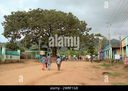 Jinka, ETHIOPIE - 20 novembre 2011 : des personnes non identifiées maintiennent leur mode de vie traditionnel dans la rue Jinka. Banque D'Images