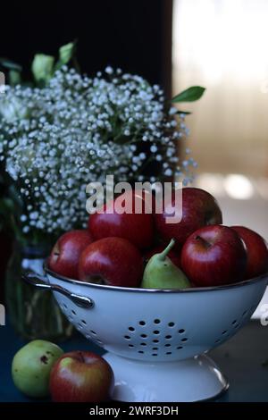 Pommes rouges sur fond noir. Couleurs vives de fruits frais de saison. Pommes dans une passoire. Fleurs blanches et fruits encore de la vie. Banque D'Images