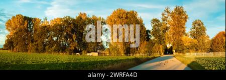 Panorama d'automne ou d'été indien cousu haute résolution près de Tabertshausen, Deggendorf, Bavière, Allemagne Tabertshausen az 029-Pano Banque D'Images