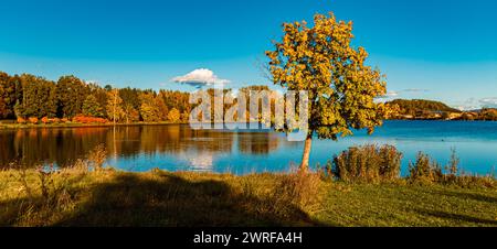 Automne ou indien vue d'été avec des reflets dans un étang près de Plattling, Isar, Deggendorf, Bavière, Allemagne Plattling BA 001 Banque D'Images