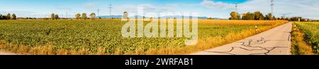 Panorama d'automne ou d'été indien cousu haute résolution près de Tabertshausen, Deggendorf, Bavière, Allemagne Tabertshausen az 015-Pano Banque D'Images