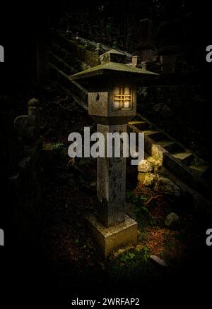 Promenade nocturne atmosphérique dans le cimetière du mont Koyasan, site du patrimoine mondial de l'UNESCO, Japon. Banque D'Images