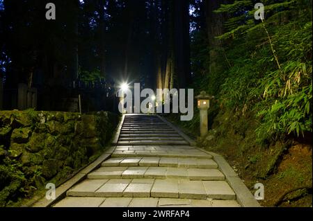 Promenade nocturne atmosphérique dans le cimetière du mont Koyasan, site du patrimoine mondial de l'UNESCO, Japon. Banque D'Images