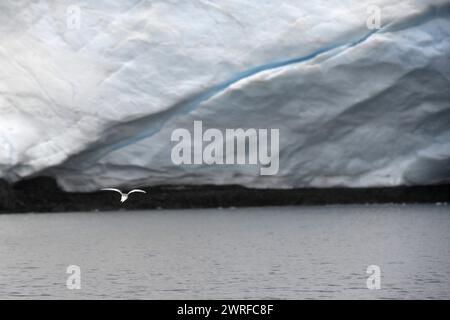 © PHOTOPQR/VOIX DU NORD/PIERRE ROUANET ; 28/02/2024 ; ANTARCTIQUE, LE 28/02/2024. Croisiere dite d'expédition vers le continent blanc, la Peninsula Antarctique (continent austral, pole sud, Antarctica, South pole, glace, banquise, iceberg), au dela du cercle polaire, par l'operateur touristique francais Exploris (membre de l'IAATO tourisme responsable). Troisieme jour sur la péninsule antarctique. Ile Foyn et vestiges exploitation baleinière norvegienne. PHOTO PIERRE Rouanet LA VOIX DU NORD Fév 2024 croisière dite d'expédition vers le continent blanc, la péninsule Antarctique (sud de conti Banque D'Images