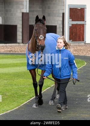 Hippodrome de Wincanton, jeudi 3 février 2022 - première course Banque D'Images