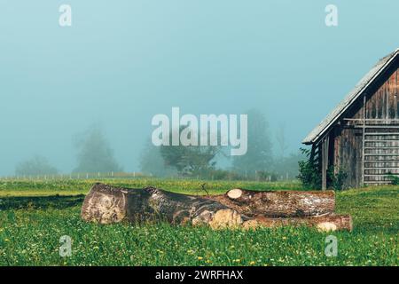 Tronc d'arbre à la ferme dans le paysage alpin couvert de brouillard, foyer sélectif Banque D'Images