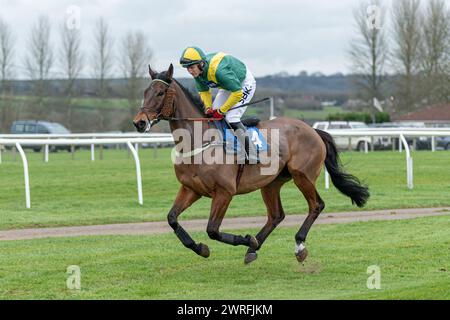 Troisième course à Wincanton, le 3 février 2022, handicap Steeple Chase Banque D'Images