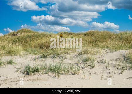 Schild in den Dünen von compris Peter-Ording. Dünenschutz ist Küstenschutz Betreten verboten *** signe dans les dunes de St Peter Ording la protection des dunes est une protection côtière pas d'intrusion Banque D'Images