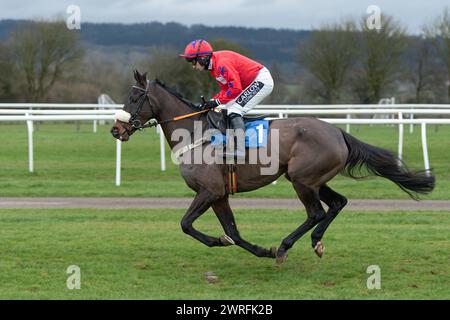 Troisième course à Wincanton, le 3 février 2022, handicap Steeple Chase Banque D'Images