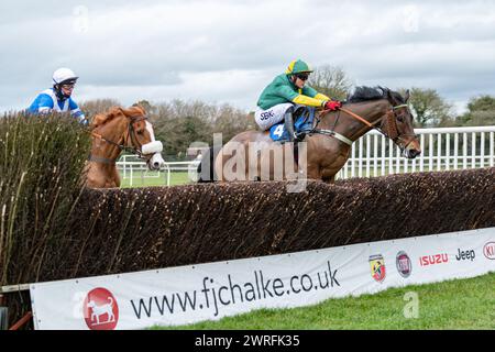 Troisième course à Wincanton, le 3 février 2022, handicap Steeple Chase Banque D'Images