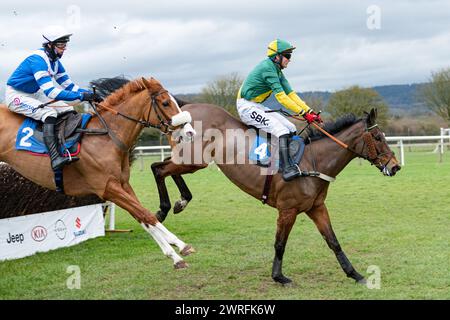 Troisième course à Wincanton, le 3 février 2022, handicap Steeple Chase Banque D'Images