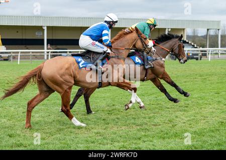 Troisième course à Wincanton, le 3 février 2022, handicap Steeple Chase Banque D'Images