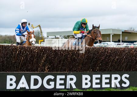 Troisième course à Wincanton, le 3 février 2022, handicap Steeple Chase Banque D'Images