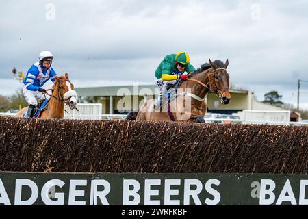 Troisième course à Wincanton, le 3 février 2022, handicap Steeple Chase Banque D'Images