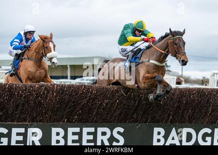 Troisième course à Wincanton, le 3 février 2022, handicap Steeple Chase Banque D'Images
