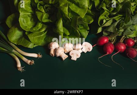 Légumes et champignons verts et sains fraîchement cueillis sur fond vert au début du printemps. Banque D'Images