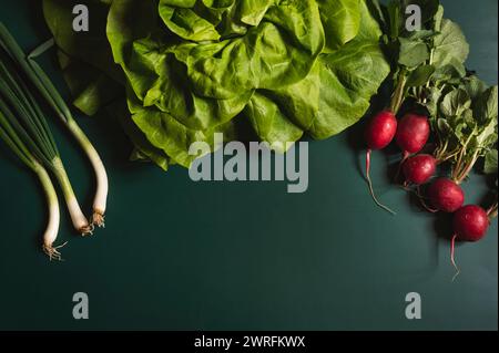 Légumes et champignons verts et sains fraîchement cueillis sur fond vert au début du printemps. Banque D'Images