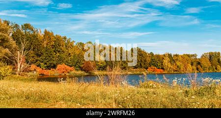 Automne ou vue d'été indien avec des reflets dans un étang près de Plattling, Isar, Deggendorf, Bavière, Allemagne Plattling ay 001 Banque D'Images