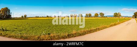 Panorama d'automne ou d'été indien cousu haute résolution près de Tabertshausen, Deggendorf, Bavière, Allemagne Tabertshausen az 024-Pano Banque D'Images